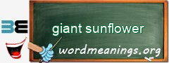 WordMeaning blackboard for giant sunflower